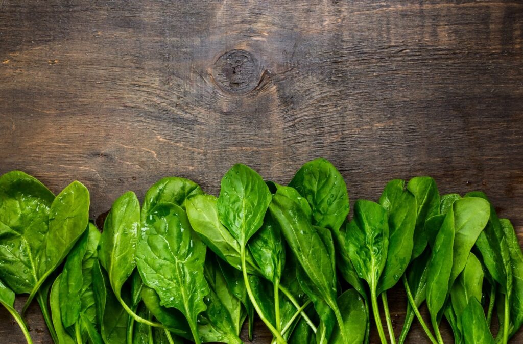 What is Spinach, Its Benefits and History